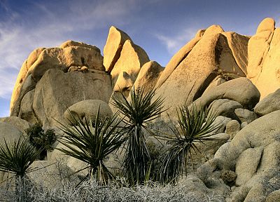 rocks, California, National Park, Joshua Tree National Park - desktop wallpaper