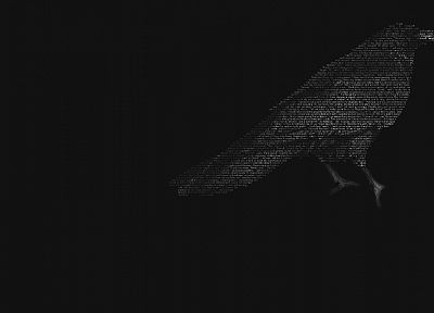 birds, grayscale, monochrome, ravens - random desktop wallpaper