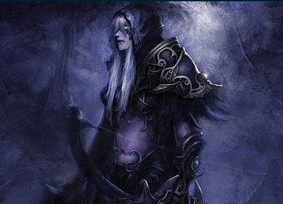 video games, World of Warcraft, fantasy art, artwork, night elf - related desktop wallpaper