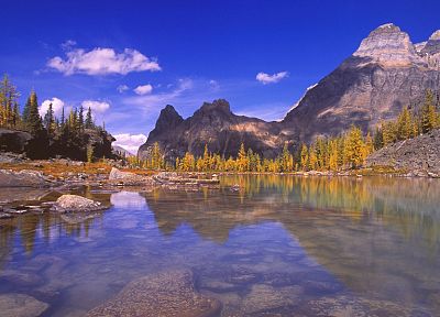 landscapes, nature, autumn - duplicate desktop wallpaper