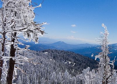mountains, landscapes, nature, winter, snow, forests - duplicate desktop wallpaper