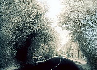 winter, snow, trees, woods, roads, George Harrison - random desktop wallpaper