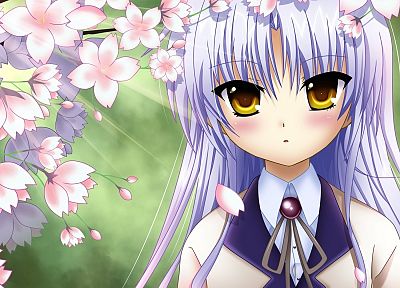 flowers, Angel Beats!, Tachibana Kanade, blush, anime, anime girls - desktop wallpaper