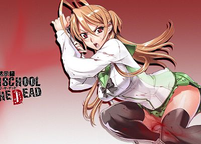 Highschool of the Dead, Miyamoto Rei - desktop wallpaper