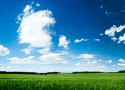 nature, grass, skyscapes, blue skies - desktop wallpaper
