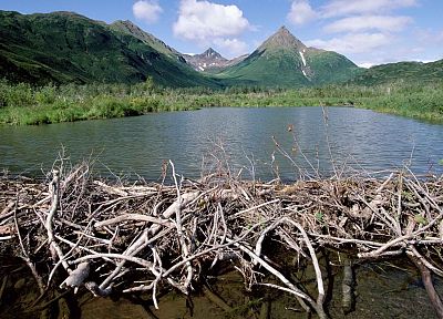 Alaska, dam, parks - duplicate desktop wallpaper