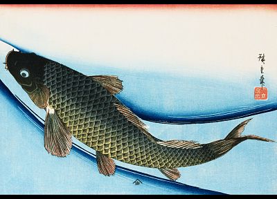 wildlife, fish, Asians, sealife, trout - desktop wallpaper