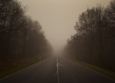 trees, fog, roads - related desktop wallpaper