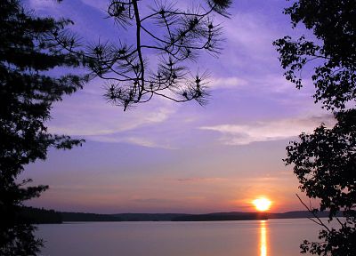 water, sunset, nature, trees, reflections - desktop wallpaper