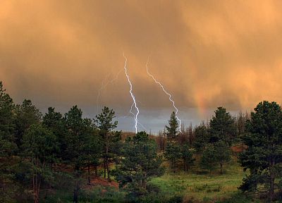 nature, trees, forests, storm, lightning - related desktop wallpaper