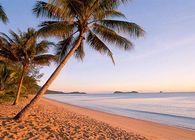 sand, palm trees, beaches - desktop wallpaper