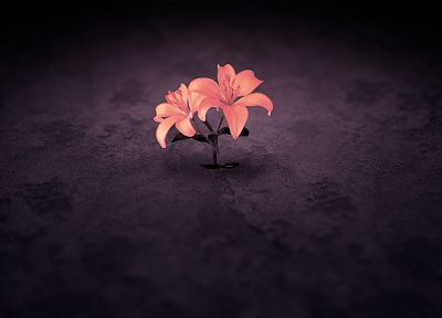 flowers - random desktop wallpaper