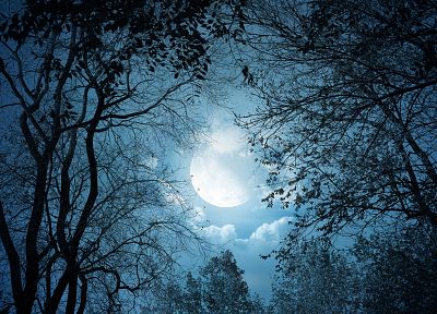 Moon, skyscapes - desktop wallpaper
