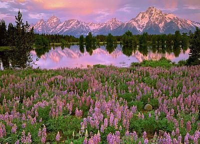 light, sunrise, Pilgrim, Wyoming, Grand Teton National Park, National Park - random desktop wallpaper