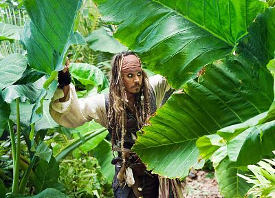 men, plants, Pirates of the Caribbean, Johnny Depp - random desktop wallpaper