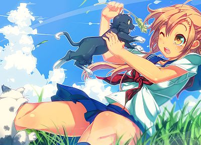cats, animals, grass, school uniforms, skirts, Nyan Koi, blush, anime girls, Mizuno Kaede - related desktop wallpaper