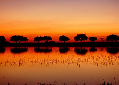 sunset, landscapes, nature, trees, lakes, reflections - desktop wallpaper