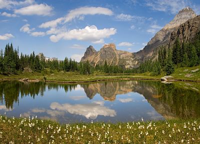 mountains, clouds, landscapes, forests, meadows, Canada, British Columbia, yoho national park - duplicate desktop wallpaper