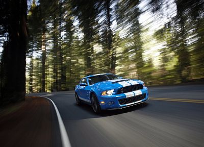 trees, cars, roads, vehicles, Ford Mustang - related desktop wallpaper