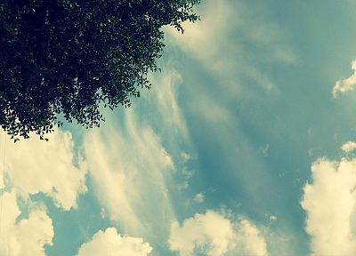 clouds, trees - random desktop wallpaper