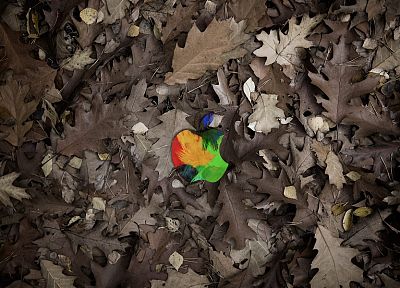 multicolor, Apple Inc., leaves, fallen leaves - random desktop wallpaper