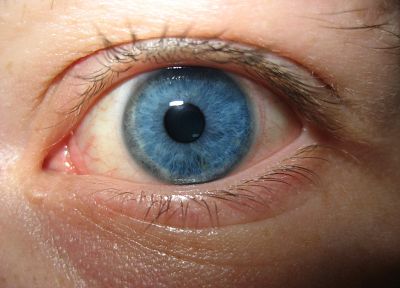close-up, eyes, blue eyes, eyeball - desktop wallpaper