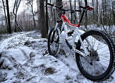 snow, bike, bicycles, woods - random desktop wallpaper