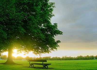 sunset, landscapes, trees, bench, parks - duplicate desktop wallpaper