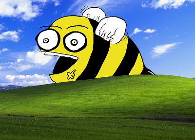bees - random desktop wallpaper