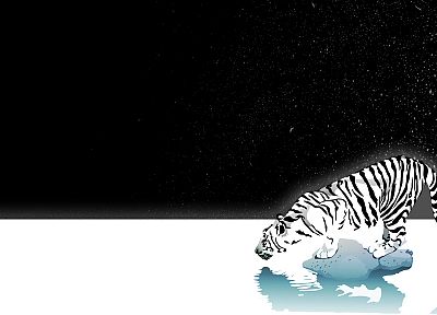tigers - duplicate desktop wallpaper
