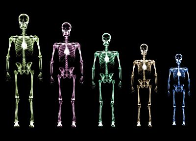 skeletons - random desktop wallpaper