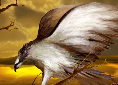 CGI, eagles - random desktop wallpaper