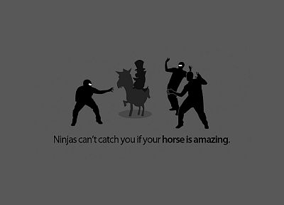 ninjas, ninjas cant catch you if, horses - related desktop wallpaper