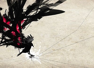 ravens - random desktop wallpaper