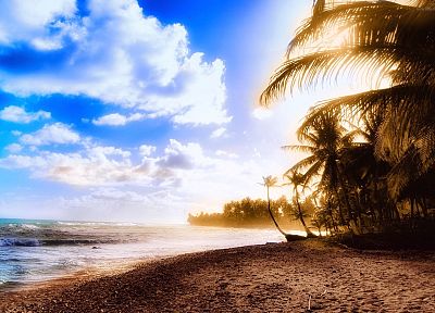 ocean, clouds, sand, trees, tropical, sunlight, palm trees, skyscapes, beaches - related desktop wallpaper