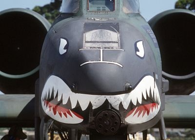 aircraft, military, vehicles, A-10 Thunderbolt II, nose art - random desktop wallpaper