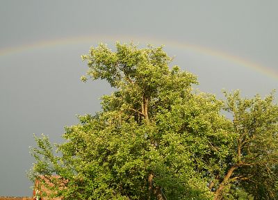 nature, multicolor, rainbows - random desktop wallpaper