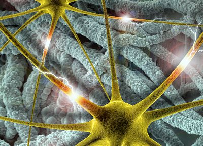 brain, synapse, neurons - random desktop wallpaper