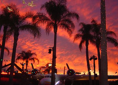 sunset, airplanes, palm trees - desktop wallpaper