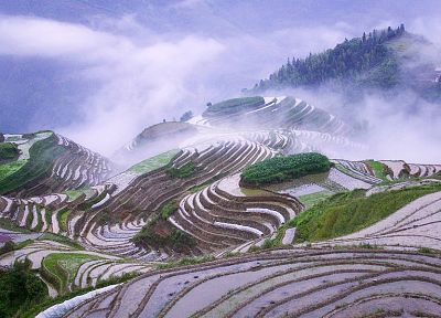 mountains, clouds, landscapes, fields, mist, rice, misery - duplicate desktop wallpaper