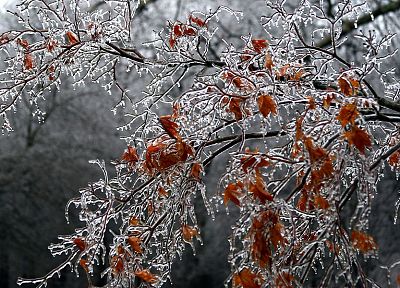 winter, HDR photography - desktop wallpaper