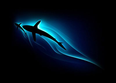 sharks - desktop wallpaper