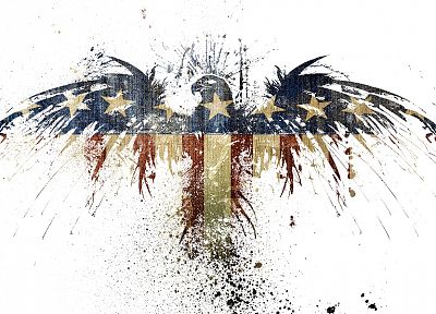 hawk, USA, American Flag, white background, Alex Cherry - random desktop wallpaper