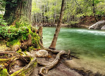 nature, forests, woods, streams, HDR photography - desktop wallpaper