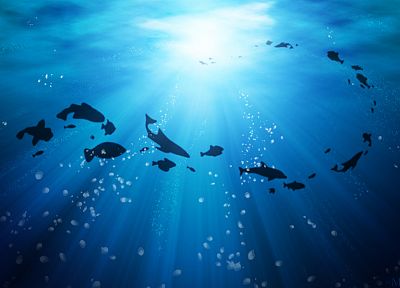 water, ocean, fish, silhouettes - desktop wallpaper