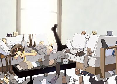 cats, anime girls - random desktop wallpaper