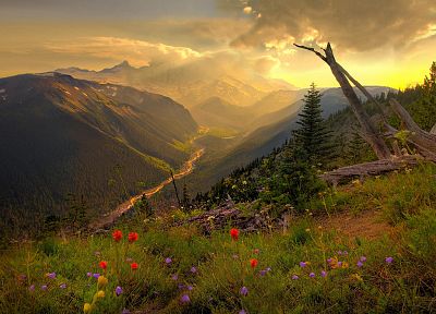 mountains, clouds, landscapes, nature, flowers, valleys, wildflowers - related desktop wallpaper