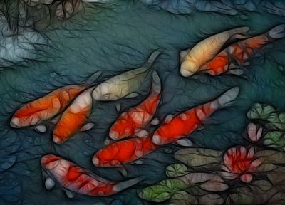 Japan, fish, koi - duplicate desktop wallpaper