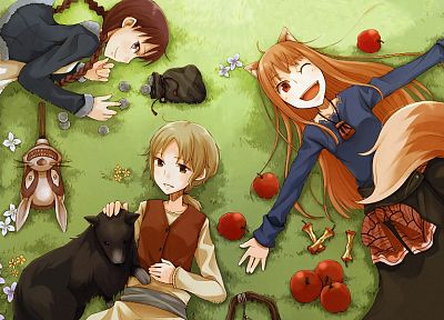 Spice and Wolf, animal ears, Holo The Wise Wolf, apples - random desktop wallpaper
