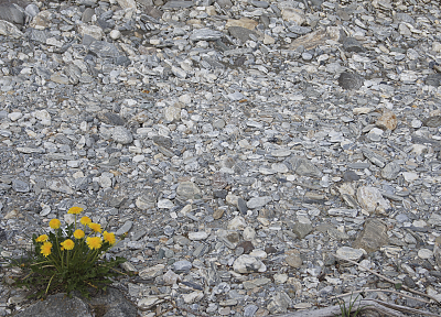 nature, stones - duplicate desktop wallpaper